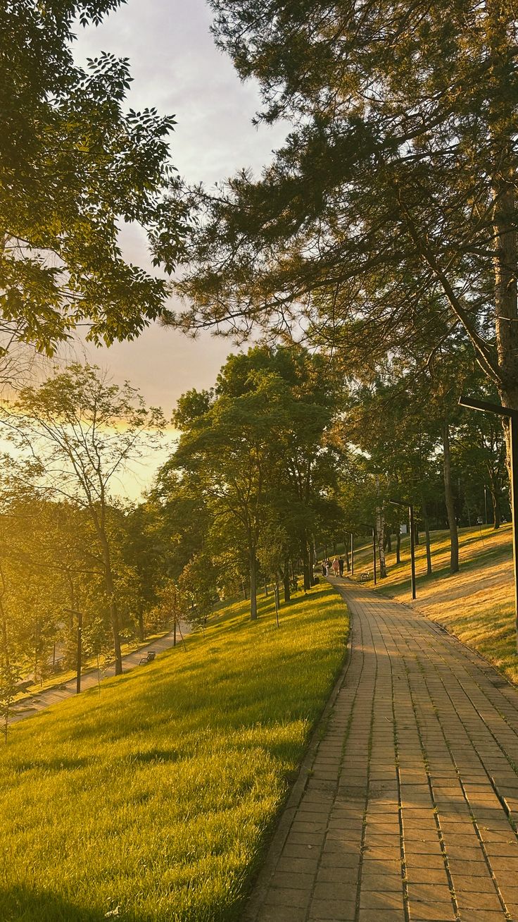 Cara Membuat Pagi Terasa Lebih Tenang dan Nyaman