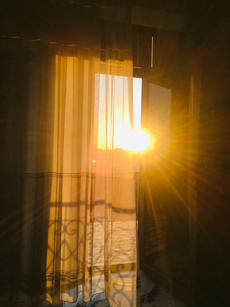 Menemukan Keindahan dalam Pagi yang Perlahan